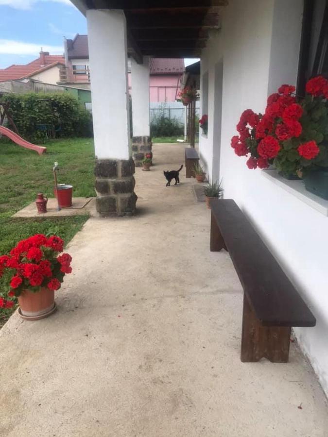 Oncsa Vendeghaz Hotel Gyongyos Luaran gambar